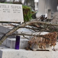 Radnici saniraju štetu na zadarskom gradskom groblju