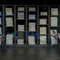 'Nema života na Marsu'