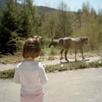 Trebević, Bosna i Hercegovina