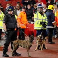 Arsenal - Köln (1)