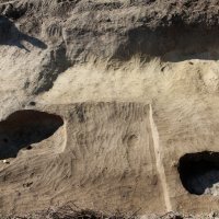 Nalazište Batina 2012.