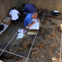 Nalazište Batina 2012.