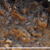 Nalazište Batina 2012.