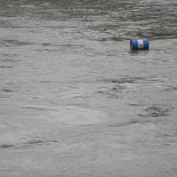 Nakon obilnih kiša rijeka Sava izlila se iz korita
