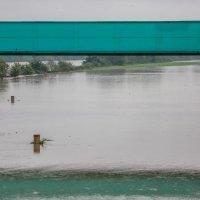 Nakon obilnih kiša rijeka Sava izlila se iz korita