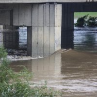 Nakon obilnih kiša rijeka Sava izlila se iz korita