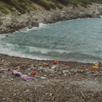 Na mljetskoj plaži pronađena nasukana morska sirena