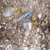 Na mljetskoj plaži pronađena nasukana morska sirena