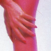 'Novi muzej čovječanstva', OJOBOCA