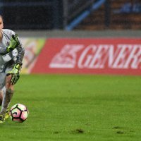 Hrvatska - Švedska (1)