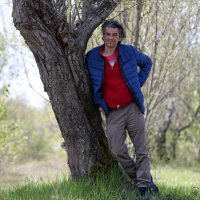 Bobo Jelčić
