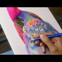 Paun - crtež u boji kemijskom olovkom