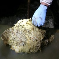 Akcija čišćenja londonskog monstruma