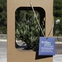 Combisova konferencija 2017.