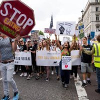 profimedia-0348160075