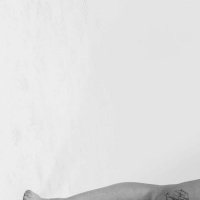 Marina Rajšić - Uvod - fotografija