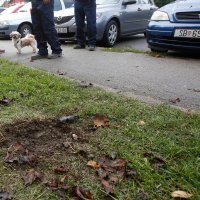 Eksplozija u Cesarčevoj ulici u Slavonskom Brodu