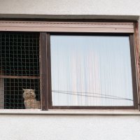 Policija ispred doma Ivana Crnjca