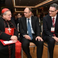 Kardinal Raymond Leo Burke, Davor Ivo Stier i Vice Batarelo