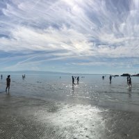 Sunčani dan na plaži Bačvice