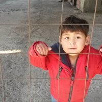 Putovanja Gorana Baleževića