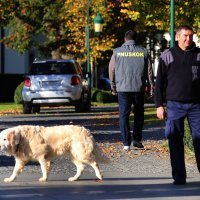 Policija i istražitelji ispred Kulmerovih dvora