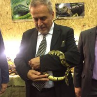 Milan Bandić i kraljevski piton