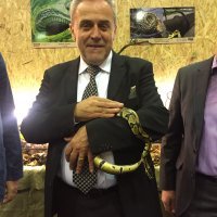 Milan Bandić i kraljevski piton