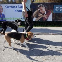 Kampanja za predsjedničke izbore u Sloveniji