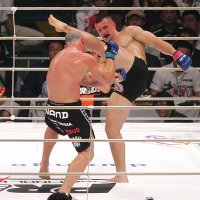mirko cro cop filipović