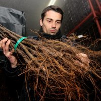 Nikola Velicki, direktor tvrtke Rabo