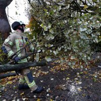 Oluja opustošila Berlin