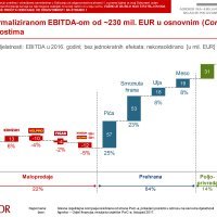 Agrokor Plan održivosti