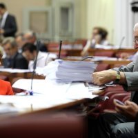 Martina Topalović (Banić)