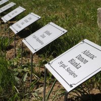 Na Židovskom groblju u Đakovu sačuvano 570 imena sahranjenih žrtava