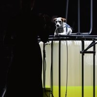 Premijera opere Kein Licht