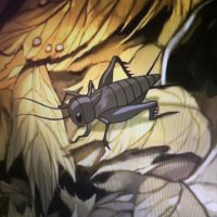 Huawei Mate 10 Pro primjeri fotografija