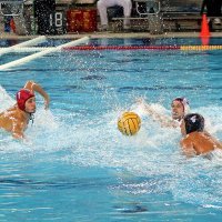 VK Jug - VK Partizan (1)