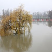 Kiša u Sisku i Karlovcu