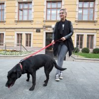Filozofski fakultet u Osijeku prvi je 'pet friendly' u Hrvatskoj