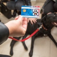 Filozofski fakultet u Osijeku prvi je 'pet friendly' u Hrvatskoj