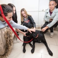 Filozofski fakultet u Osijeku prvi je 'pet friendly' u Hrvatskoj