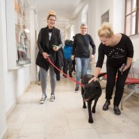 Filozofski fakultet u Osijeku prvi je 'pet friendly' u Hrvatskoj