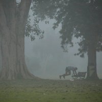 Zagađenje u New Delhiju