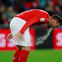 Švicarska - Sjeverna Irska (6)