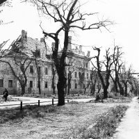 Vukovar 1991. godine