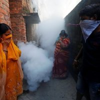 Borba protiv denga groznice u Kolkati