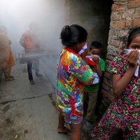 Borba protiv denga groznice u Kolkati