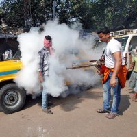 Borba protiv denga groznice u Kolkati
