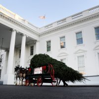 Melania Trump i sin Barron Trump preuzimaju božićno drvce ispred Bijele kuće